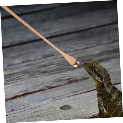 Mipcase 2pcs Lizard Food Feeding Spoon for Reptiles Pet Food Scoops Small Scoop Easy Cleaning Compact Design - color: Rose Gold