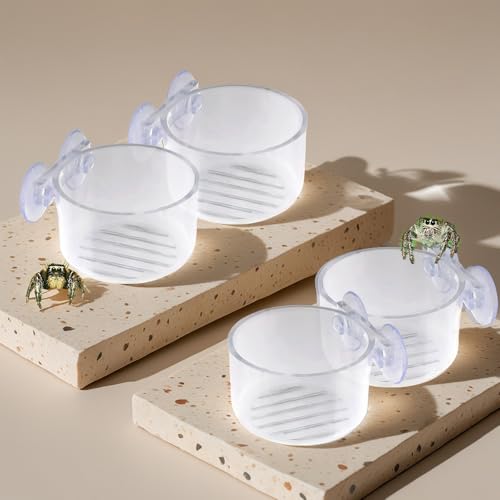 4 Pcs Jumping Spider Feeding Dish Water Bowl with Suction Cup for Jumping Spider Tarantula Millipede Small Reptiles