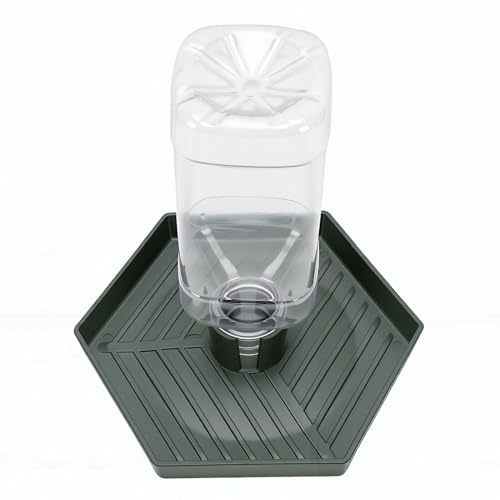 GLOGLOW Food and Water Bowl for Lizard Chameleon (Dark Green) - color: Dark Green