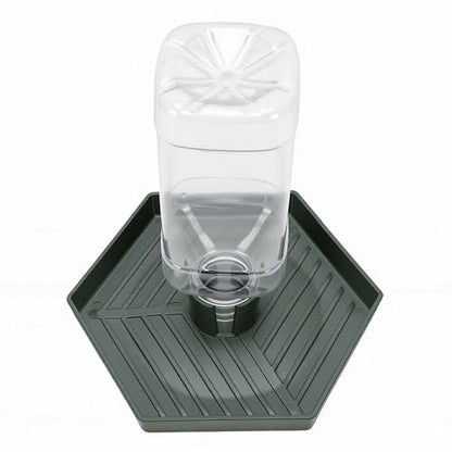 GLOGLOW Food and Water Bowl for Lizard Chameleon (Dark Green) - color: Dark Green