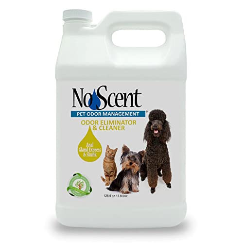 No Scent Anal Gland Express & Skunk Spray Pet Fur Cleaner for Dogs & Cats (128 Fl Oz / 3.8 Liters) - size: 128 Fl Oz (Pack of 1)