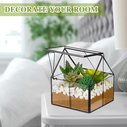 2 Pcs Mini Glass Terrarium Planter with Lid 5 x 4.3 x 4.3'' Small Greenhouse Terrarium Jar Glass Container Pot Tabletop Succulent Small Cacti Air Plant Planter for Indoor Home Garden Office Decor