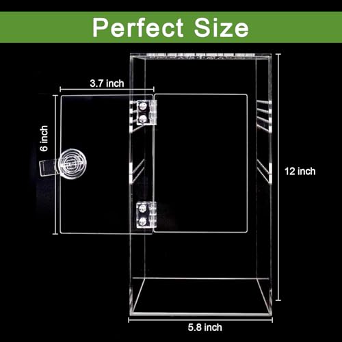 NANEEZOO Jumping Spider Enclosure with Front Opening Door, 6"x6"x12" Reptile Breeding Box Micro Habitat Terrarium for Small Tree Dwelling Reptiles, Spiders, Mantis & Invertebrates - size: 6x6x12 Inch Square