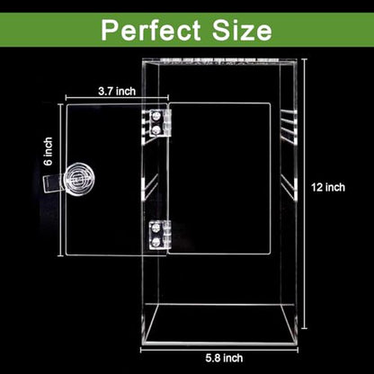 NANEEZOO Jumping Spider Enclosure with Front Opening Door, 6"x6"x12" Reptile Breeding Box Micro Habitat Terrarium for Small Tree Dwelling Reptiles, Spiders, Mantis & Invertebrates - size: 6x6x12 Inch Square