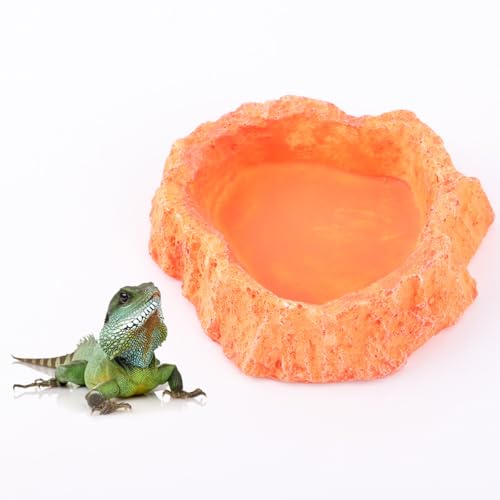 INOOMP Reptile Feeding Bowl and Water Dish Anti-Skid Orange Food Container for Lizard and Gecko Terrarium Supplies