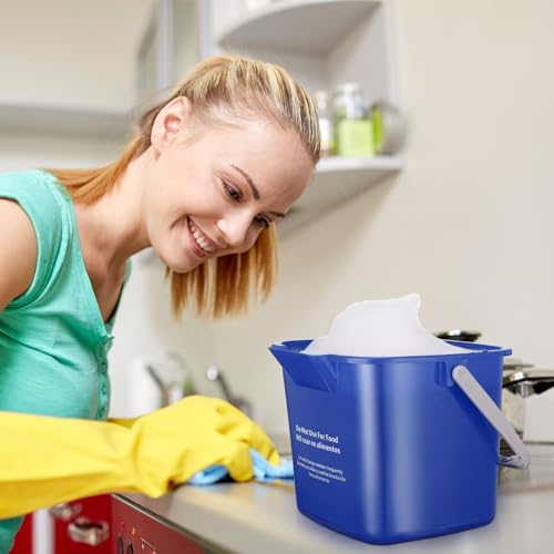 Roshtia 6 Pcs 6 Quart Cleaning Bucket Small Sanitizing Square Bucket Detergent Pail for Home Commercial Restaurant Kitchen Office School (Blue) - color: Blue