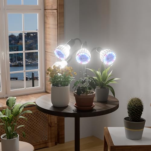 Grow Light,24W (160Watts Equiv) 5000K White Full Spectrum LED Growing Lamp Clip on Desk for Indoor Plants,Bulbs Replaceable & Non-dimmable (Black, 320W) - size: 320W
