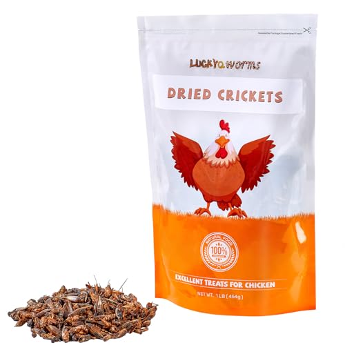 Dried Crickets 1 lb for Chickens, Wild Birds, Hedgehogs, Reptiles, Lizards, Bearded Dragons, Fish, Turtles - High Protein Natural Insect Food Resealable Bag