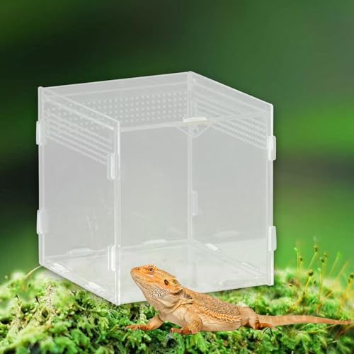 Reptile Breeding Box Terrarium Professional Clear Animal Habitat Cage with Ventilation Holes for Geckos Frogs Hermit Crabs- 10x10x10cm