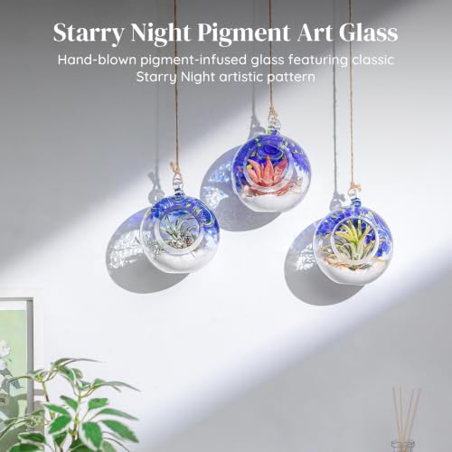 Glasseam Hanging Glass Plant Terrarium: 3Pcs Hanging Airplant Fern Holders | 4 Inch Thick Handmade Planter Hanger Globe for Tillandsia Succulent Moss, Indoor Wall Window Decor Gift for Plant Lovers
