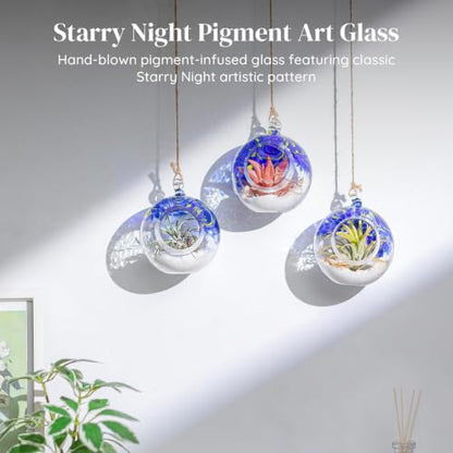 Glasseam Hanging Glass Plant Terrarium: 3Pcs Hanging Airplant Fern Holders | 4 Inch Thick Handmade Planter Hanger Globe for Tillandsia Succulent Moss, Indoor Wall Window Decor Gift for Plant Lovers
