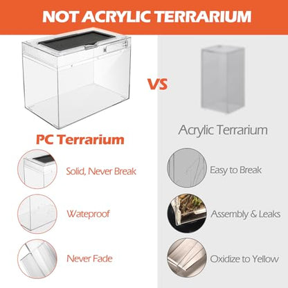 AZV Small Habitat Terrarium Enclosure, and Large Reptile Terrarium,Reptile Tank 15x8x10in Amphibian Isopod Tank Starter Kit with Bearded Dragon Hammock,Heat Lamp,Hide Cave for Geckos Lizard