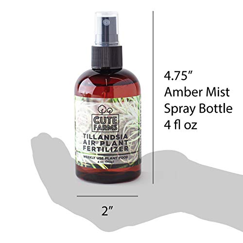 Cute Farms Tillandsia Air Plant Fertilizer | Gentle Weekly Use Formula Plant Food | Formulated Nutrients for Air Plants (4 oz. Spray Bottle) - size: 4 oz. Spray Bottle
