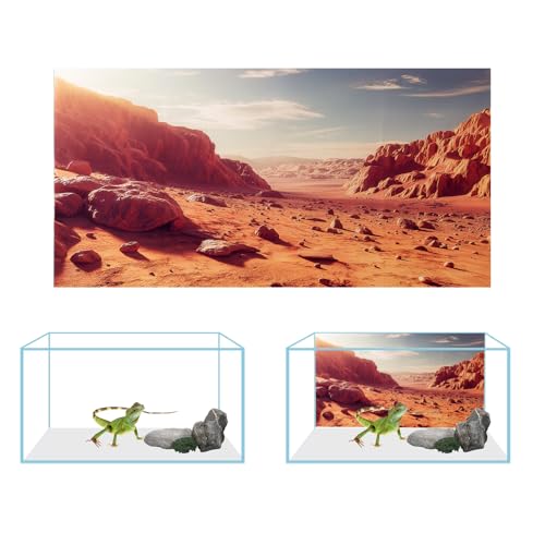 3 Pack Terrarium Background, 36x18 inch Polyester Reptile Background | Cloth Terrarium Background, Gobi Sunshine Cactus Stone & Green Tree Fern Stream Backgrounds, Backgrounds for Reptile Tank - size: 36x18 Inch