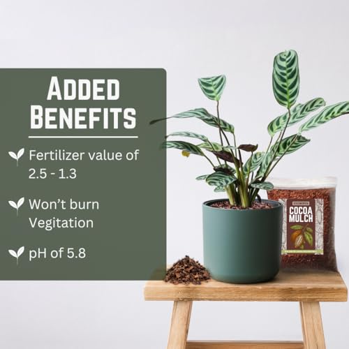 [4 Quarts] Cocoa Mulch for Plants, Garden, Flower Beds, Indoor & Outdoor Plants - Organic Cocoa Bean Shell Mulch | Moisture Retaining, Weed Preventing, Landscaping Mulch - size: 4 Quarts