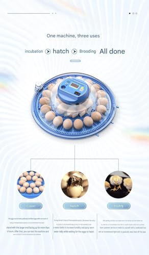 JUJOJB 12-Egg Incubator with Automatic Turner and Temperature Control | Humidity control, built-in egg candler, 360-degree clear window. For chicken, duck, quail, turkey eggs. Adjustable dividers. - color: Blue