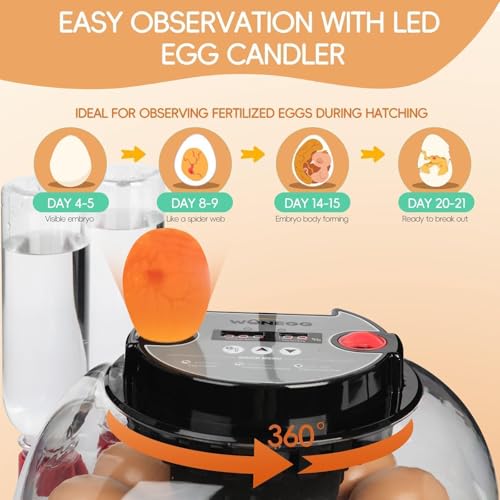 Series II - 12 Egg Automatic Incubator for Beginners, Smart Adaptive Humidity (Dual-Bottle) & Auto Temp Control, Auto Egg Turn, Real-Time Display, Candler, 360° View for Hatching Poultry Eggs - size: 12-Egg Black+Red