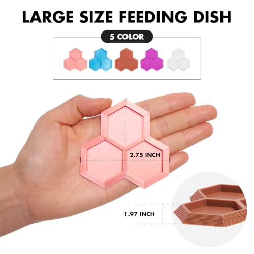 Dubia Roach Large Feeder Bowl, 5 PCS Isopod Food Dish, 3 in 1 Colorful Feeding Water Dish for Live Roach, Isopod, Springtails & Dwarf Invertebrates - color: 5 PCS Dubia Feeding Dish