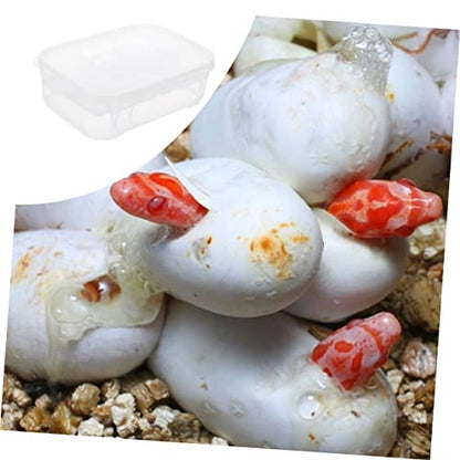 VANZACK Reptile Incubation Box with Design Lightweight Hatching Container for Snakes and Lizards Efficient Capacity Reptile Breeding Hatchery