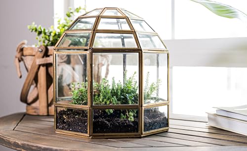 Urban Born Handmade Birdcage Large Glass Terrarium — 10" x 9" x 9" (Brass)