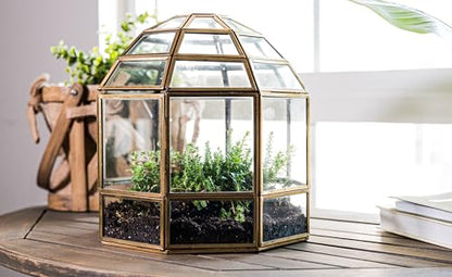 Urban Born Handmade Birdcage Large Glass Terrarium — 10" x 9" x 9" (Brass)