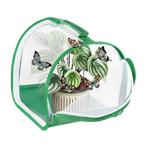 M METERXITY Butterfly Habitat Cage Terrarium, Outdoor Collapsible Mesh Pop-up with Zipper Protection for Breeding Butterfly/Ladybug, Mesh Plant Enclosure [White with Green, 8 x 8 x 8 Inch]