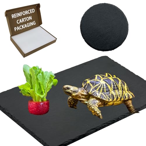 2 Pack Reptile Basking Platform 11.8 × 6" + 4", Reptile Slate, Basking Rock, Slate Tiles Rocks for Reptiles,Terrarium Bowls for Bearded Dragon Tortoise Turtle Ball Python Snake Lizard Gecko - size: 11.8 × 6 IN + 4 IN