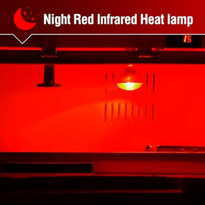 Leoterra 50w Reptile Night Heat Bulb Red Infrared Night Heat Lamp 10-20 Gallon Terrarium Use Thickened Glass (2-Pack) for Geckos, Frogs, Small Snakes,Bearded Dargon Night Use 2000+ Hours Service Life - style: R6350 Red Night Heat Bulb