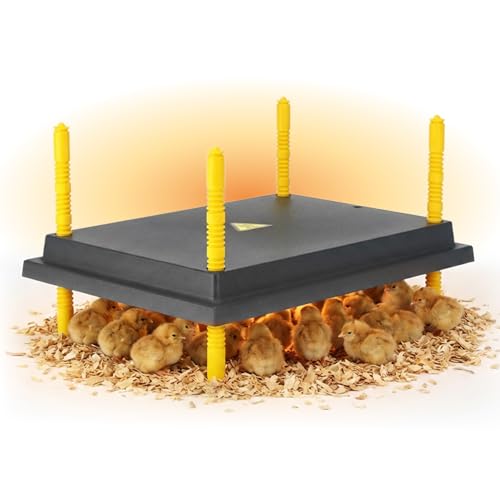 Hatching Time Warmzy 12"x16" Chick Heating Plate – Safe 30W Chicken Coop Heater for 25–30 Chicks with Adjustable Legs | Gentle Low-Heat Brooder Plate for Chicks, Durable Fire-Resistant Chicken Heater - size: 12" x 16" for 25–30 Chicks