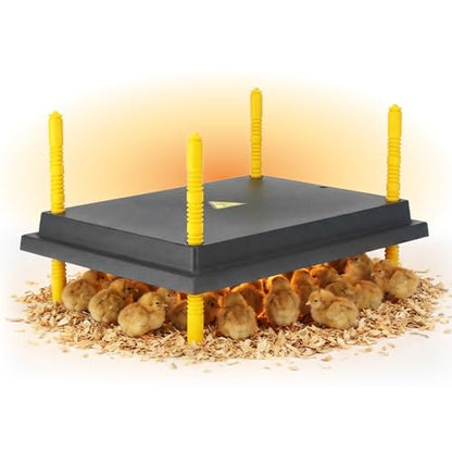 Hatching Time Warmzy 12"x16" Chick Heating Plate – Safe 30W Chicken Coop Heater for 25–30 Chicks with Adjustable Legs | Gentle Low-Heat Brooder Plate for Chicks, Durable Fire-Resistant Chicken Heater - size: 12" x 16" for 25–30 Chicks