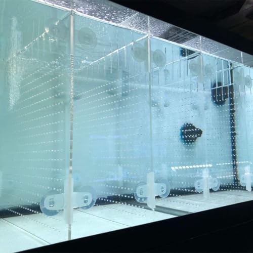 Acrylic Aquarium Divider Kit 5.5/10 / 20L / 20H / 29 / 40B / 55/75 / 125gal Fish Tank with Suction Cups (40gal Breeder Imagitarium) - size: 40gal breeder Imagitarium