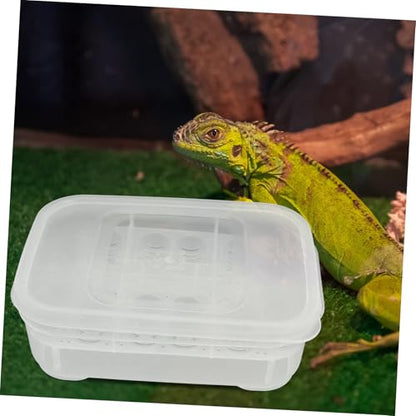 SUPVOX Transparent Plastic Breeding Box for Hatching Snakes Lizards and Turtles Sturdy Easy to Clean Hatching Tray for Reptile Enthusiasts