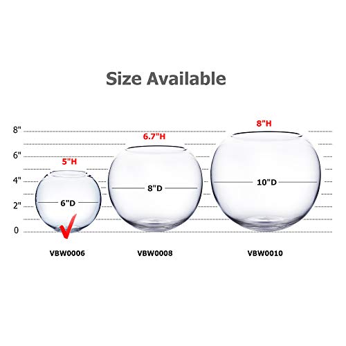 WGV Bowl Glass Vase Bulk, Diameter 6", Height 5", Open Width 4", (Multiple Sizes Choices) Clear Bubble Planter Terrarium Fish Bowl for Wedding Event Home Decor, 12 Pieces (VBW0006) - size: 6"Dx5"H 1 Case