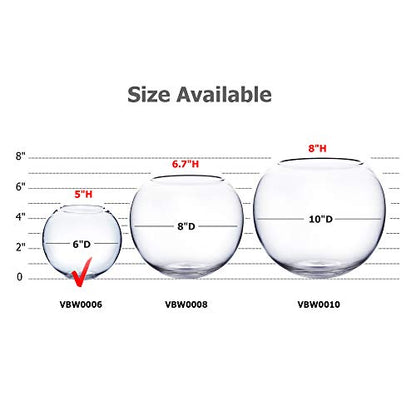 WGV Bowl Glass Vase Bulk, Diameter 6", Height 5", Open Width 4", (Multiple Sizes Choices) Clear Bubble Planter Terrarium Fish Bowl for Wedding Event Home Decor, 12 Pieces (VBW0006) - size: 6"Dx5"H 1 Case