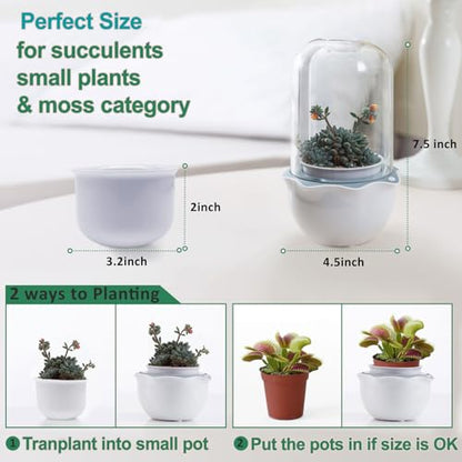 Smart Venus Fly Trap Terrarium Pot with Timer&Fan, Mini Plant Terrarium Kit | Plant Terrarium Kit with Grow Light for Carnivorous,Butterwort,Venus Fly trap,Christmas Gardening Gift for Women Garden Lover