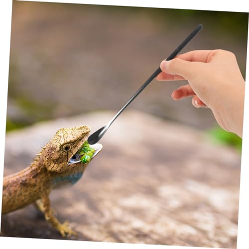 Toddmomy 3pcs Reptile Food Spoon Lizard Feeding Spoon for Wet Food Reptile Dish Tool Pet Supply