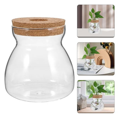 Glass Terrarium Jar for Succulent Plants with Hydroponic Hole Lid, Medium Trapezoid Glass Container for Indoor Mini Ecosystem and Plant Propagation