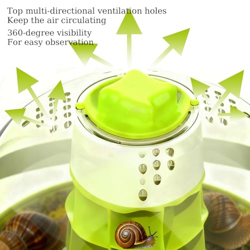 Snail Terrarium Kit Insect Enclosure Bug Terrarium Observation Container Praying Mantis Habitat Breeding Box Micro Habitat Starter Kit for Beetles Spider Small Reptile