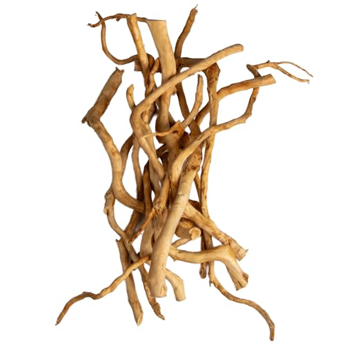 Natural Aquarium Driftwood, [170g] ( 20–40 cm /8–16 in) - Unique Root/Spider Wood Branches for Aquascaping, Planted Tanks & Terrariums, Fish & Plants Decoration Each Piece One-of-a-Kind(Branches Only) - style: Branches Only
