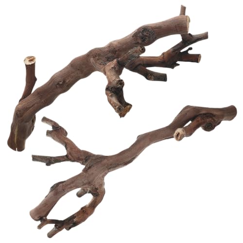 GALPADA 2pcs Reptile Climbing Branches Natural Wood Cork Logs with Smooth Safety Surface and Sturdy Support for Snake and Bearded Dragon Terrarium Decor Enclosures