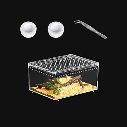 Reptile PC Terrarium 8" x 6" x 4", Tarantula Enclosure,Spider Tank Starter Kit, Hermit Crab Habitat,Lizard Enclosure,Insect Housing,Jumping Spider Cage (Small) - size: 8" x 6" x 4"