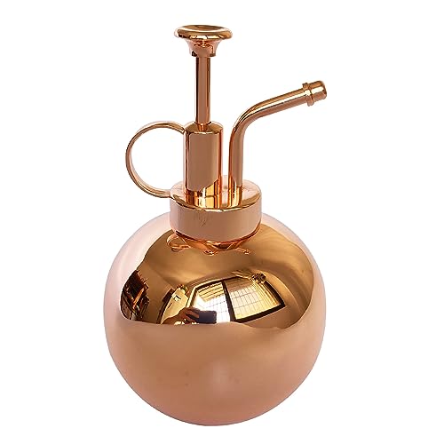 Stainless Steel Plant Sprayer, Small Watering Can Plant Misting Bottle, Modern Gardening Tools for Indoor Potted Plants Watering and Misting - color: 17oz/ Rose Gold