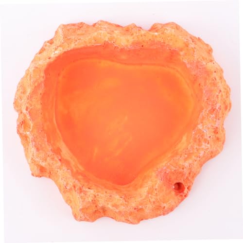 Reptile Feeding Bowl Skid Base Sturdy Food and Water Dish for Lizards Turtles and Other Crawling Pets Orange 2-in-1 Feeder Container