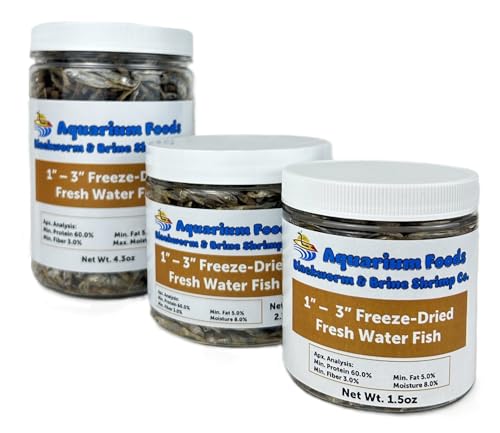Freeze Dried 1"- 3" Fresh Water Fish for Piranhas Large Fish, Land and Aquatic Turtles, Rodents, Reptiles, Lizards, Cat Treats & More…1.5oz Sm Round Jar - size: 1.5 Ounce (Pack of 1)
