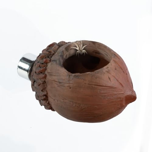 REPTI ZOO Jumping Spider Hideout and Feeding Dish, Nut Shaped Hide and Cave Sets for Spider Playing, Feeding and Climbing, Pet Spider Enclosure Accessories