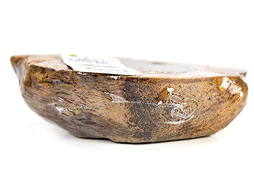 Josh's Frogs Natural Coco Bowl