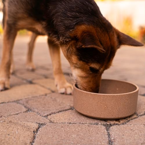 Loving Pets - Dolce Bamboo - Eco-Friendly Pet Bowls & Dishes for Dog, Cats, Puppy Food and Water Dish -Sustainable and Dishwasher Safe, Made with Real Bamboo (Small, Coffee-Brown) - color: Coffee Brown, size: Small Dish