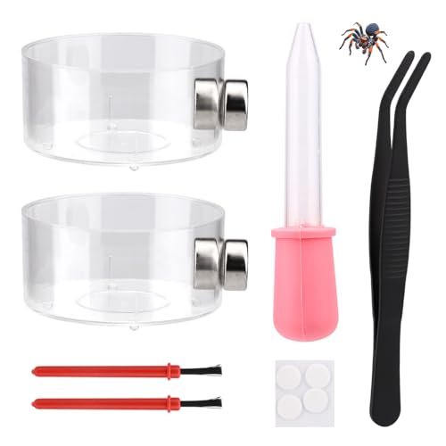 6pcs Jumping Spider Feeding Dish Set, Includes 2 Magnetic Water Bowl Tray 2 Brushes 1 Reptile Feeding Tongs & 1 Dropper Jumping Spider Enclosure Accessories Kit