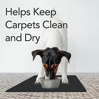 RESILIA Under Pet Cage Mat for Bird Cages, Reptile Aquariums, Dog Kennels, Water-Resistant Pad for Carpeted Floors and Surfaces, 30 Inches x 48 Inches, Clear - color: Clear