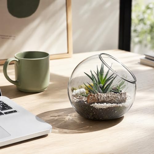 IMIKEYA Plant Terrarium Display: 3Pcs Slanted Glass Terrarium Containers Air Plant Glass Sphere Succulent Display Bowl Vase for Home Tabletop Microlandschaft